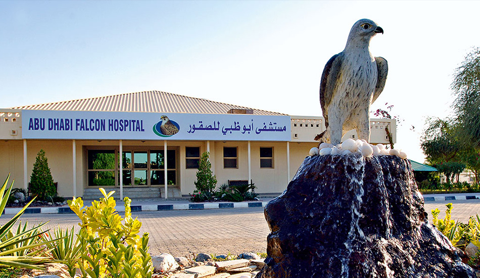 Abu dhabi Falcon Hospital
